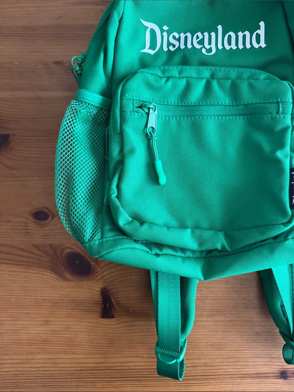 Disney Disneyland Resort Green Icon Mania Small Backpack